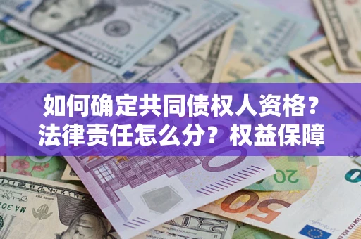 北京如何确定共同债权人资格？法律责任怎么分？权益保障技巧揭秘！