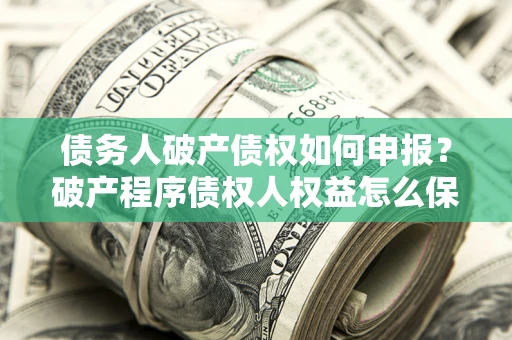 北京债务人破产债权如何申报？破产程序债权人权益怎么保障？