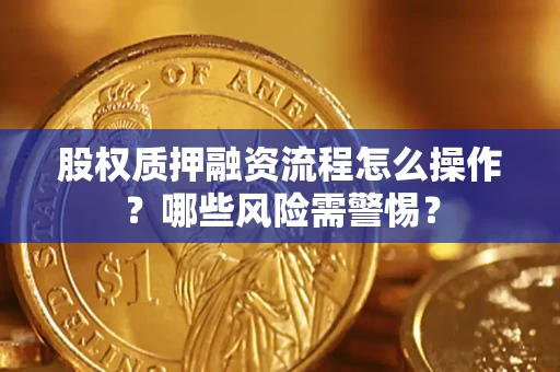 北京股权质押融资流程怎么操作？哪些风险需警惕？